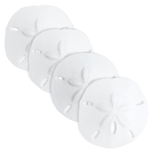 Sand Dollars 3"-3 1/2" (Set of 4)