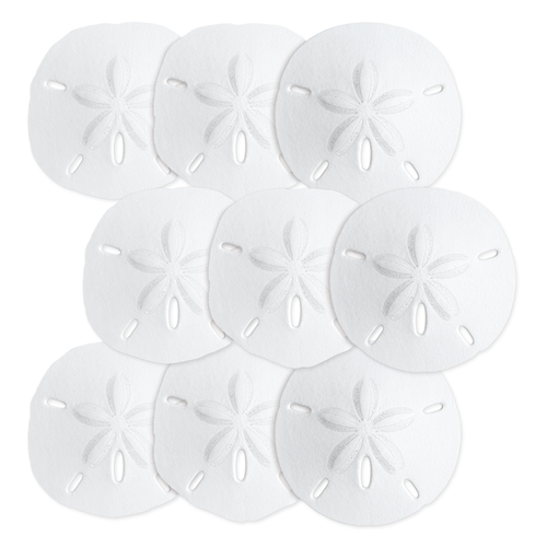 Sand Dollars 3"-3 1/2" (Set of 9)