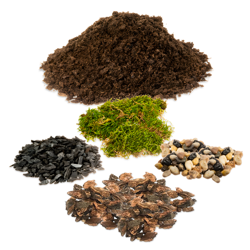 DIY Terrarium Succulent Planter Kit | Includes Hoffman Soil Mix, Charcoal, Orchid Bark, Decorative Pea Gravel Reindeer Moss