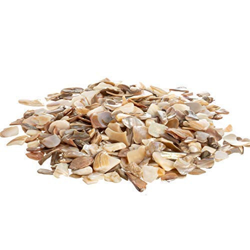 Tan Pearlized Crushed Sea Shell Pieces (22 oz)