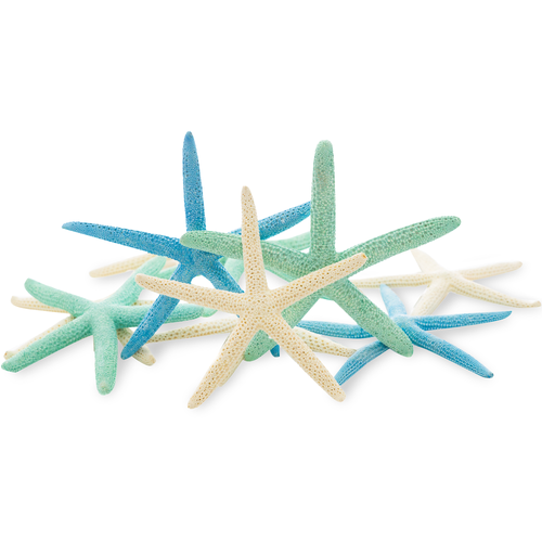 Starfish 10 Pack Green Blue & White Assorted Star Fish 2-4 Inch Starfish for Crafts and Decor