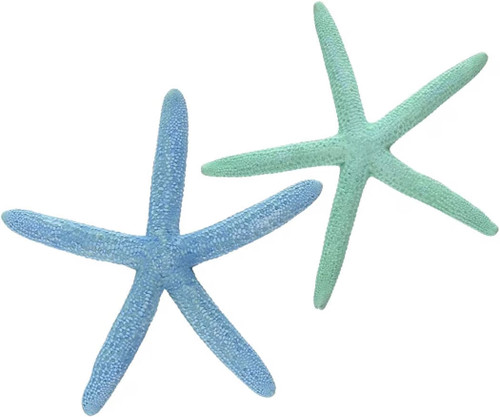 Finger Starfish | 5 Painted Blue and Green