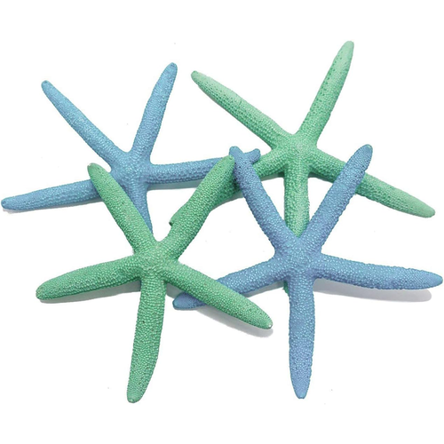 Finger Starfish | 4 Painted Blue and Green Finger Starfish 4"-6"
