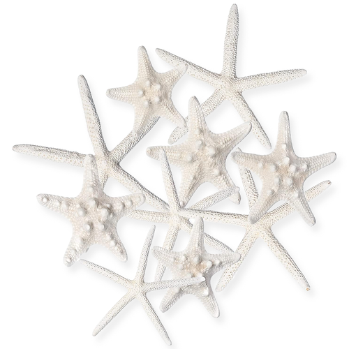 Starfish Decor - (10) Pack Assorted Star Fish 2-6 Inch