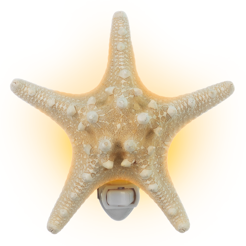 Starfish Night Light 1 Knobby Starfish Plug in Manual Night Light for Home Decor