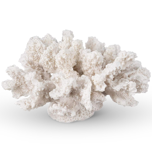 Small White Coral Faux Coral Reef Décor 4in x 3.5in x 2.5in Resin Coral for Home and Décor 