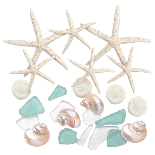 Nautical Assortment 25 Pieces White Finger Starfish, Sea Biscuit, Aqua Blue Sea Glass, Clear Sea Glass, and Pearlized Turbo Shells for Crafts