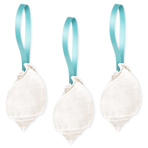 Shell Ornaments 3 White Seashell Hanging Bonnet Shells w/Turquoise Ribbon Christmas Ornaments for Tree