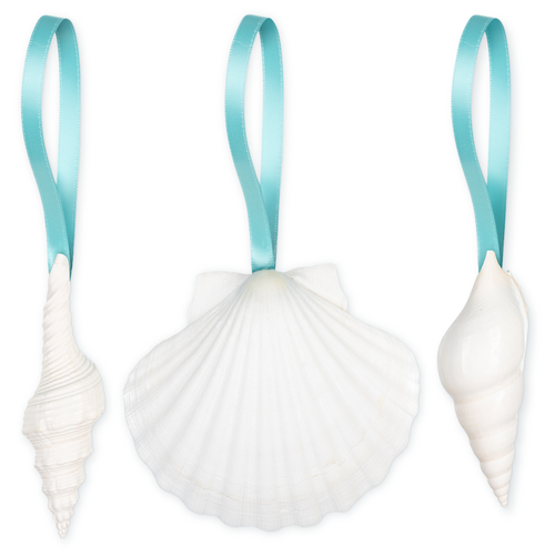 Shell Ornaments 3 White Seashell Hanging Shells mix w/Turquoise Ribbon Christmas Ornaments for Tree