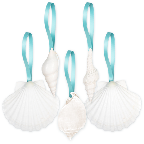 Shell Ornaments 5 White Seashell Hanging Shells Mix w/Turquoise Ribbon Christmas Ornaments for Tree