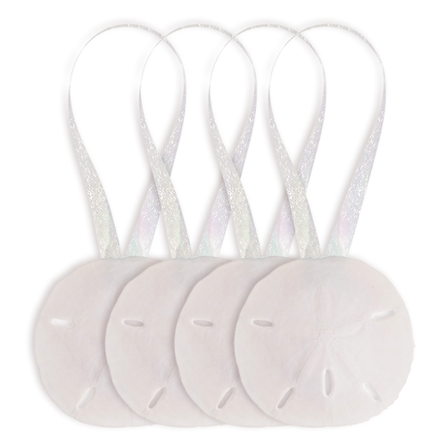 Sand Dollar Ornaments 4 Natural Sand Dollars 3" with Iridescent Ribbon Real Sand Dollars Ornaments for Tree or Beach Wedding