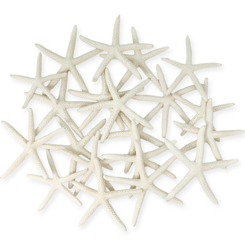 Starfish Decor - Star Fish for Craft - 20pk Real 2-3" White Sea Stars - Beach Wedding Decor - Coastal Party Decorations - Seashell Decor - Shells for Crafts - Nautical Decor - Bulk Shells for Crafts