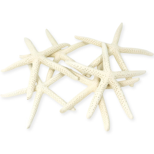 Starfish Decor - Star Fish For Craft - 10pk Real 2-4" White Sea Stars - Beach Wedding Decor - Coastal Party Decorations - Seashell Decor - Shells For Crafts - Nautical Decor - Bulk Shells For Crafts