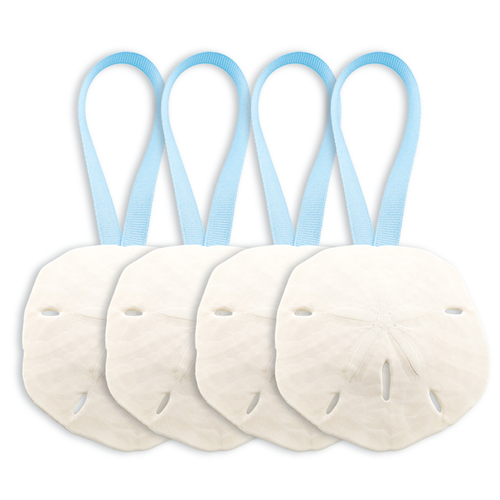 Sand Dollar Ornaments | Natural Sand Dollars 3" with Baby Blue Ribbon | Set of 4 | Real Sand Dollars for Beach Wedding Decor | Plus Free Nautical Ebook by Joseph Rains