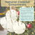 Natural Sand Dollar Ornament with Jute Ribbon 3"-4" - Set of 4