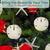 Natural Sand Dollar Ornament with Jute Ribbon 3"-4" - Set of 4