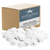 Sand Dollars 1/2"-7/8" (Set of 50)