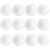 Sand Dollars 2 1/2"-3" (Set of 12)