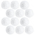 Sand Dollars 2 1/2"-3" (Set of 12)