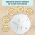 Sand Dollars 2 1/2"-3" (Set of 9)