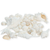 Seashell Mix 1 pound of White Decorative Seashells for Crafts and Decor 