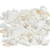 Seashell Mix 2 Pounds of White Decorative Seashell Mix for Crafts and Decor 