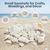 Seashell Mix 5 Pounds of Real White Decorative Seashells for Crafts and Decor