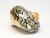 1 African Sarmaticus Turbo Shell