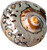 African Sarmaticus Turbo Shell  3"-3 1/2"