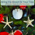 Starfish and Sand Dollar Ornament Set 4"-5" - 3 Piece Set