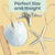 Starfish and Sand Dollar Ornament Set 4"-5" - 3 Piece Set