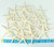 20 White Finger Starfish top view with measurements 