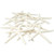 Starfish 10 White Finger Starfish 2"-3" Starfish for Crafts and Decor 