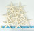 Finger Starfish Pack of 12 top view 