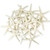 Starfish 18 White Finger Starfish 3" to 4" Starfish for Crafts and Decor 