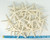 White Finger Starfish top view with measurements 