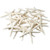 Starfish 30 White Finger Starfish 3" to 4" Starfish for Crafts and Decor