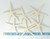 White Finger Starfish top view with measurements 