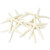 Starfish 6 White Finger Starfish 3" to 4" Starfish for Crafts and Decor 