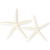 Starfish 2 Pack Large White Finger Star Fish 4-5 Inch Starfish for Crafts and Decor