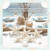 Knobby Starfish  White 3" to 6" (Set of 6)