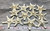 Knobby StarFish White 2" to 3 1/2" (Set of 12)