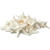 Knobby StarFish White 2" to 3 1/2" (Set of 24)