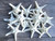 Knobby Starfish White 4" to 6" Stars  (Set of 12)