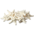 Starfish 12 Knobby White Starfish 1 1/4" to 2 1/4" Starfish for Crafts and Decor