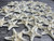 48 Knobby White Starfish side view 