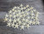 48 Knobby White Starfish top view zoomed out