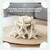 Ultra White Knobby StarFish 1" to 2"  (Set of 12)