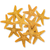 Starfish 10 Brown Sugar Starfish 1 1/2" to 2" Starfish for Crafts and Decor