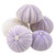 Sea Urchin 5 Purple Sea Urchin Shells 1.5"-2.5" for Crafts and Decor